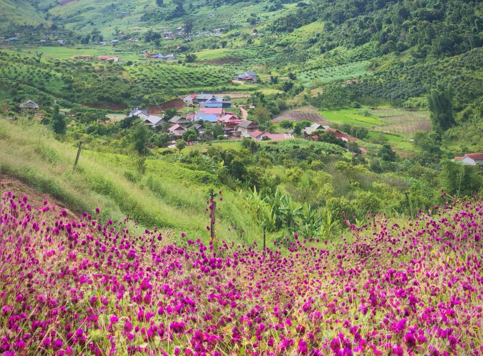 Muong Sang Farmstay Moc Chau Exteriér fotografie